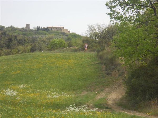 Premi per vedere l'immagine alla massima grandezza