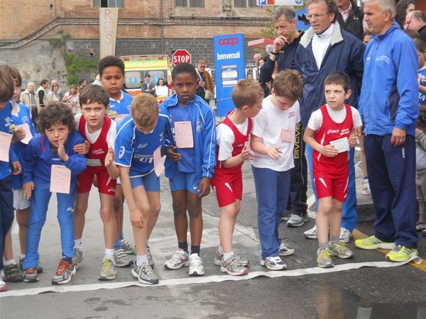 Premi per vedere l'immagine alla massima grandezza