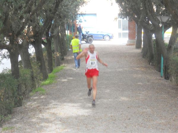 Premi per vedere l'immagine alla massima grandezza