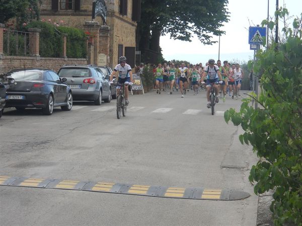 Premi per vedere l'immagine alla massima grandezza