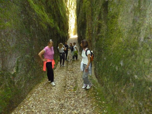 Premi per vedere l'immagine alla massima grandezza