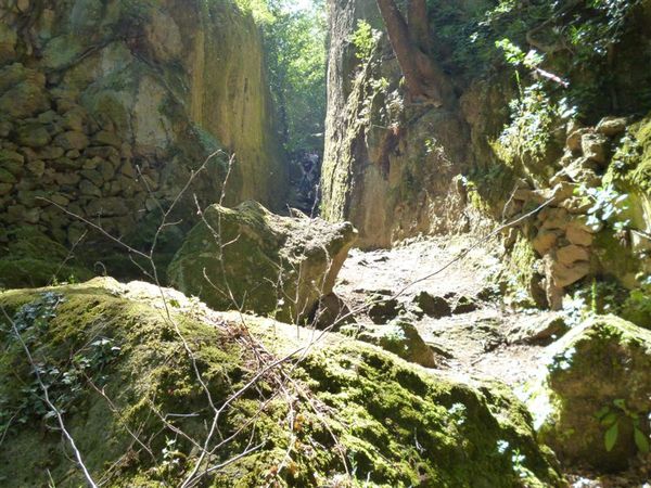 Premi per vedere l'immagine alla massima grandezza