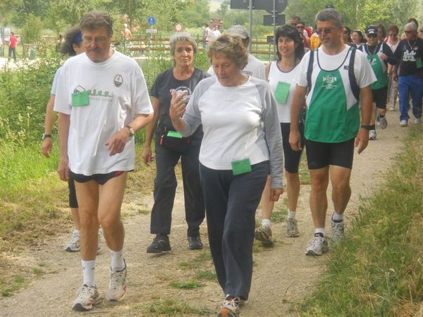 Premi per vedere l'immagine alla massima grandezza