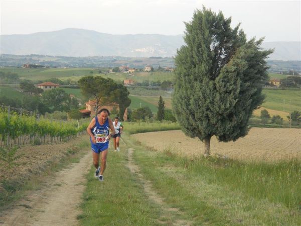 Premi per vedere l'immagine alla massima grandezza