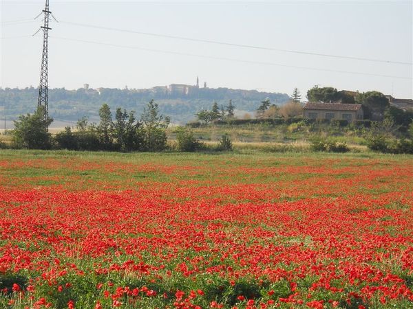 Premi per vedere l'immagine alla massima grandezza