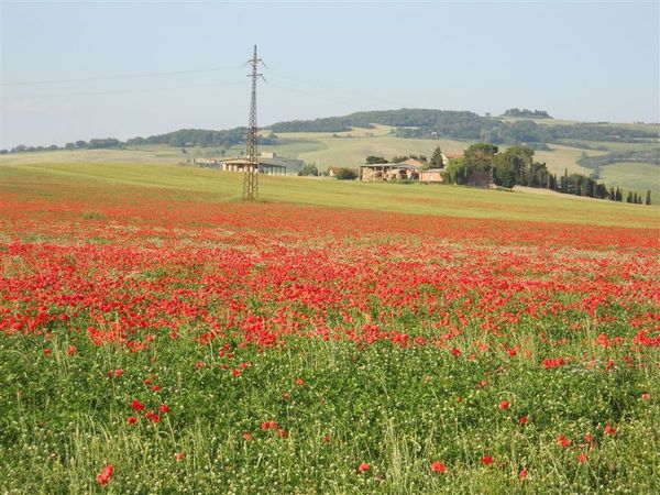 Premi per vedere l'immagine alla massima grandezza