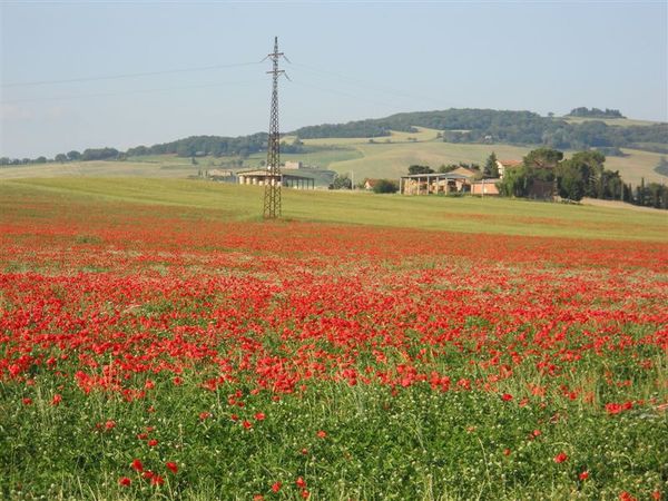 Premi per vedere l'immagine alla massima grandezza