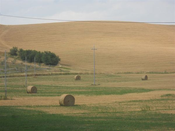 Premi per vedere l'immagine alla massima grandezza