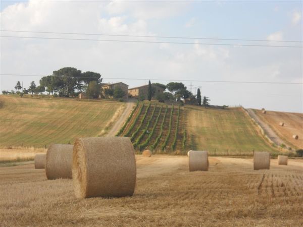 Premi per vedere l'immagine alla massima grandezza