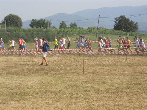 Premi per vedere l'immagine alla massima grandezza