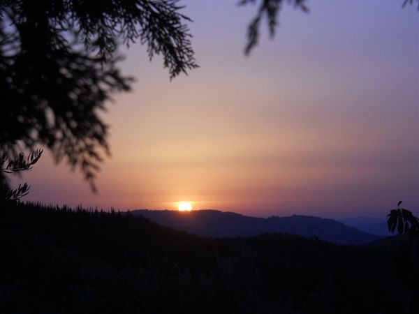 Premi per vedere l'immagine alla massima grandezza