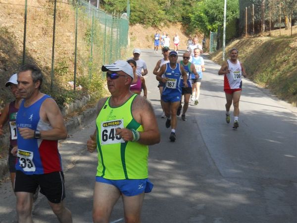 Premi per vedere l'immagine alla massima grandezza