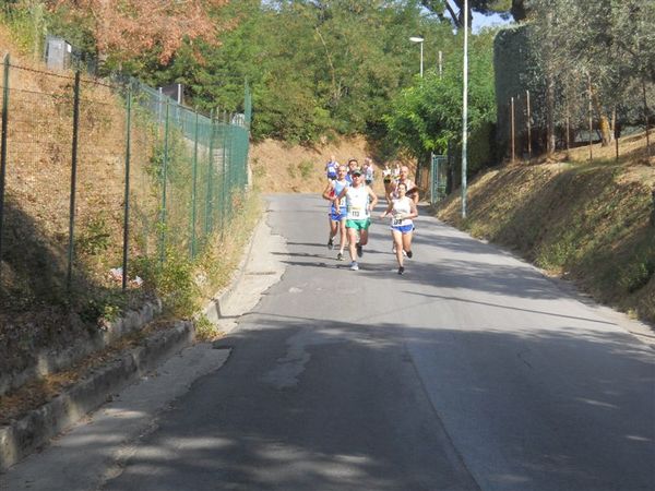 Premi per vedere l'immagine alla massima grandezza