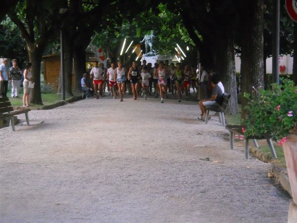 Premi per vedere l'immagine alla massima grandezza