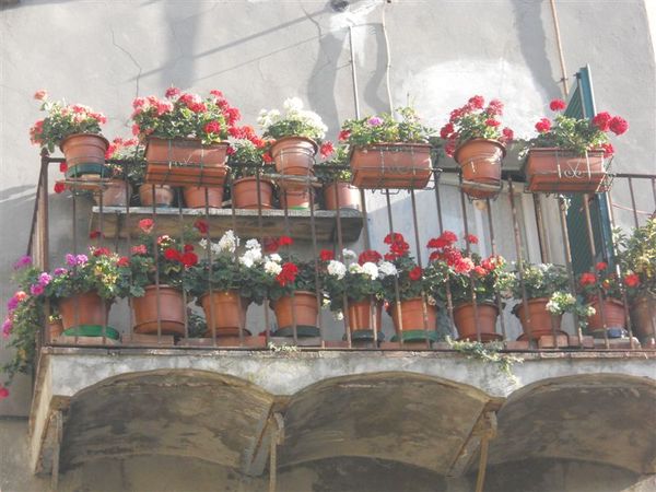 Premi per vedere l'immagine alla massima grandezza