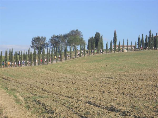 Premi per vedere l'immagine alla massima grandezza