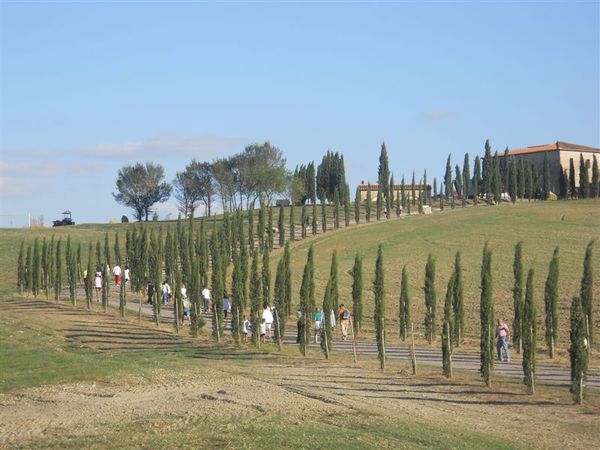 Premi per vedere l'immagine alla massima grandezza