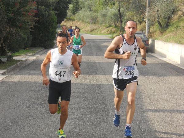 Premi per vedere l'immagine alla massima grandezza