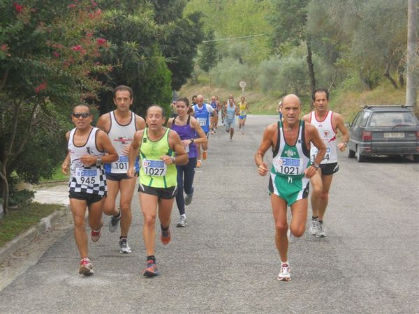 Premi per vedere l'immagine alla massima grandezza