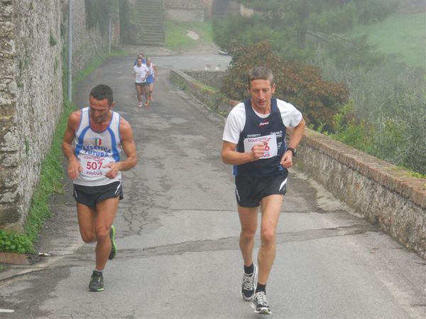 Premi per vedere l'immagine alla massima grandezza