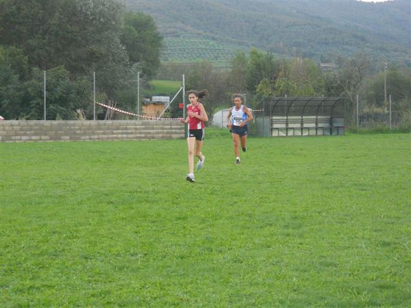 Premi per vedere l'immagine alla massima grandezza