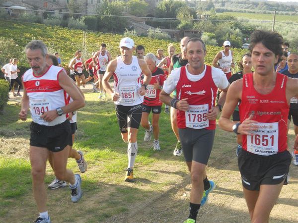 Premi per vedere l'immagine alla massima grandezza