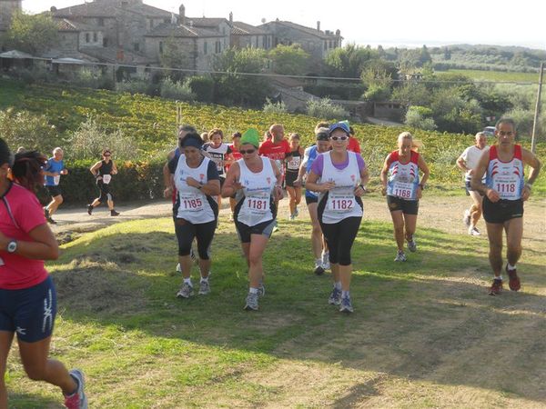 Premi per vedere l'immagine alla massima grandezza