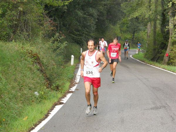 Premi per vedere l'immagine alla massima grandezza