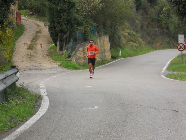 Premi per vedere l'immagine alla massima grandezza