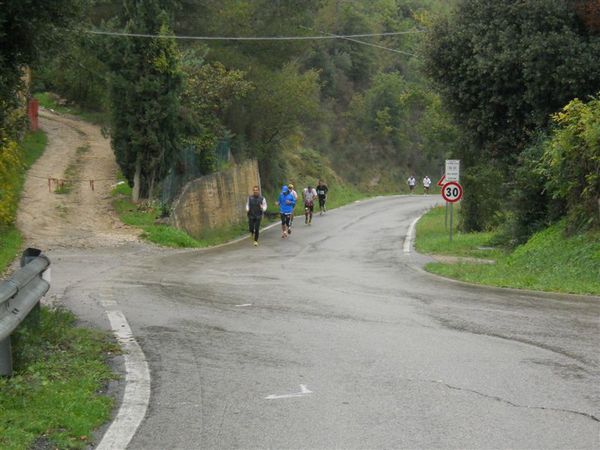 Premi per vedere l'immagine alla massima grandezza