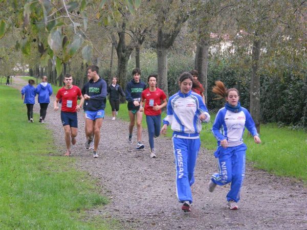 Premi per vedere l'immagine alla massima grandezza