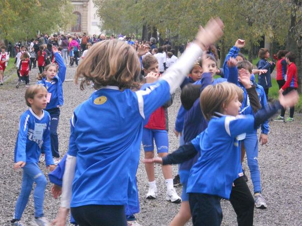 Premi per vedere l'immagine alla massima grandezza