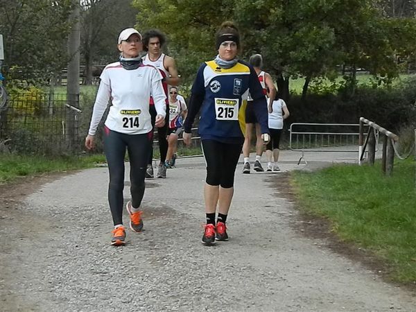 Premi per vedere l'immagine alla massima grandezza