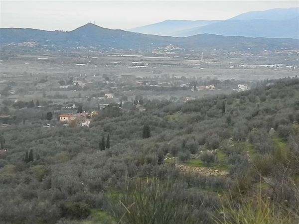 Premi per vedere l'immagine alla massima grandezza