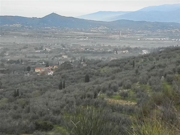 Premi per vedere l'immagine alla massima grandezza