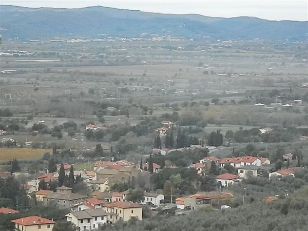 Premi per vedere l'immagine alla massima grandezza