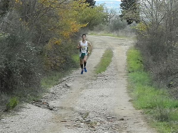 Premi per vedere l'immagine alla massima grandezza