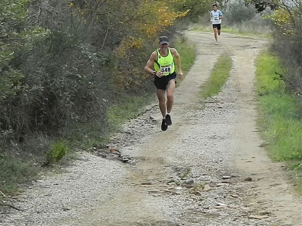 Premi per vedere l'immagine alla massima grandezza