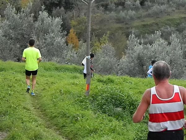 Premi per vedere l'immagine alla massima grandezza