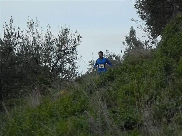 Premi per vedere l'immagine alla massima grandezza