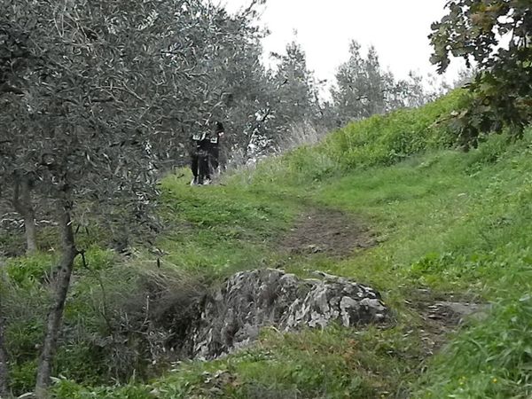 Premi per vedere l'immagine alla massima grandezza