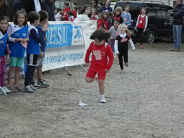 Premi per vedere l'immagine alla massima grandezza