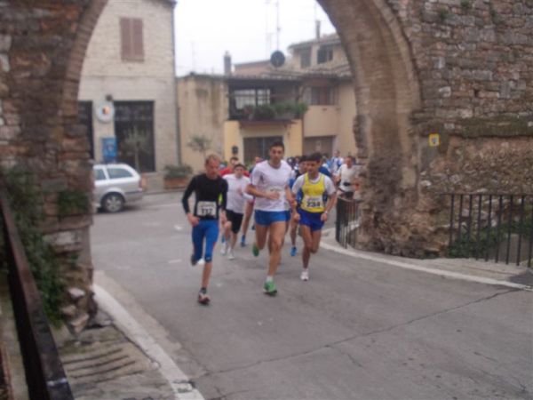 Premi per vedere l'immagine alla massima grandezza