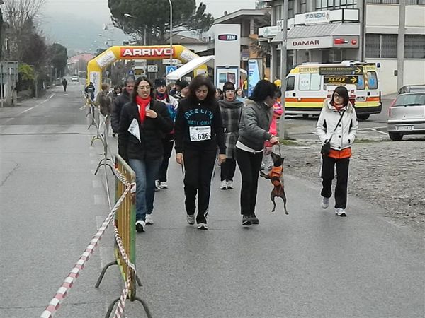 Premi per vedere l'immagine alla massima grandezza