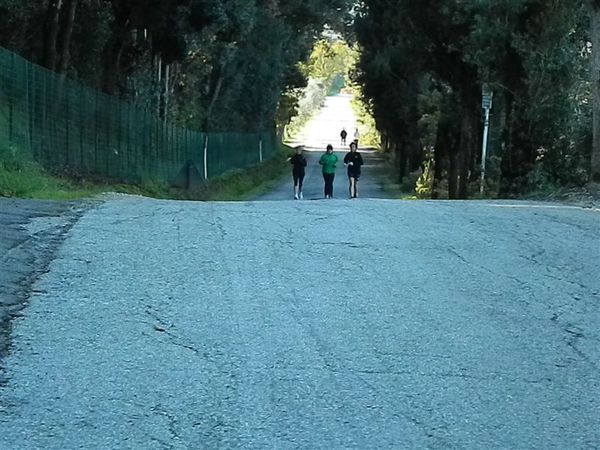 Premi per vedere l'immagine alla massima grandezza