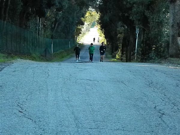 Premi per vedere l'immagine alla massima grandezza