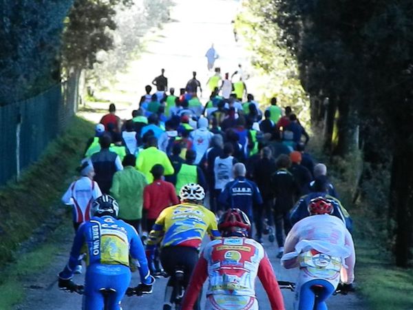 Premi per vedere l'immagine alla massima grandezza