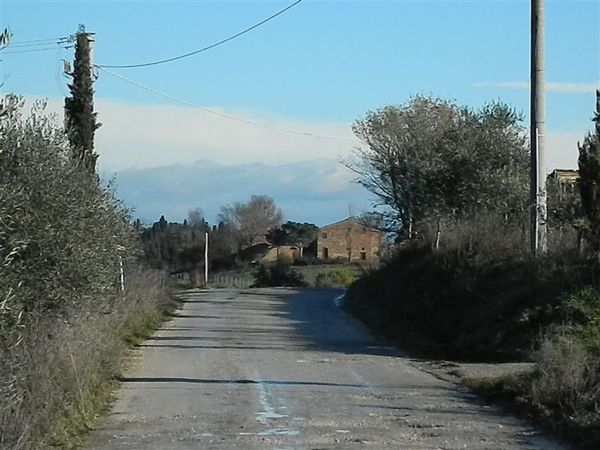 Premi per vedere l'immagine alla massima grandezza