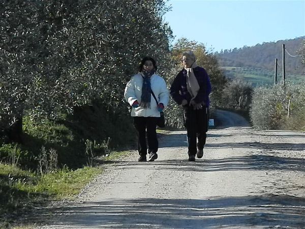 Premi per vedere l'immagine alla massima grandezza