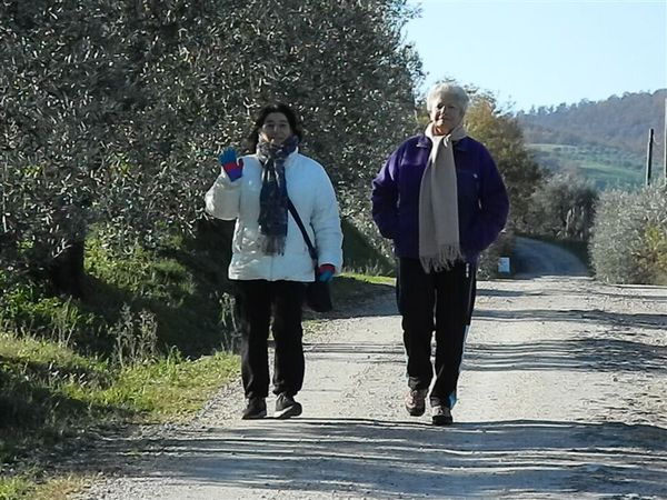 Premi per vedere l'immagine alla massima grandezza